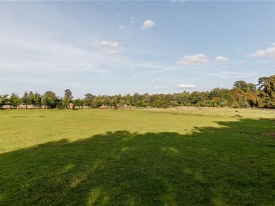 Picture 23
